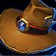 Trusty Hat