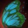 Sparkle Wings