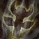 Totem of Harmony