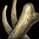 Bones of Transformation